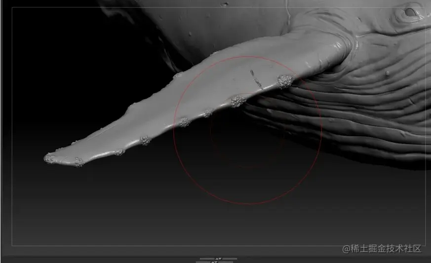 《Whale Rider》 - 瑞云渲染