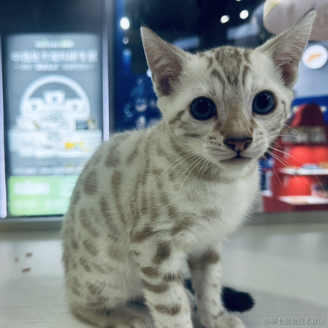 小small于2023-06-17 10:46发布的图片