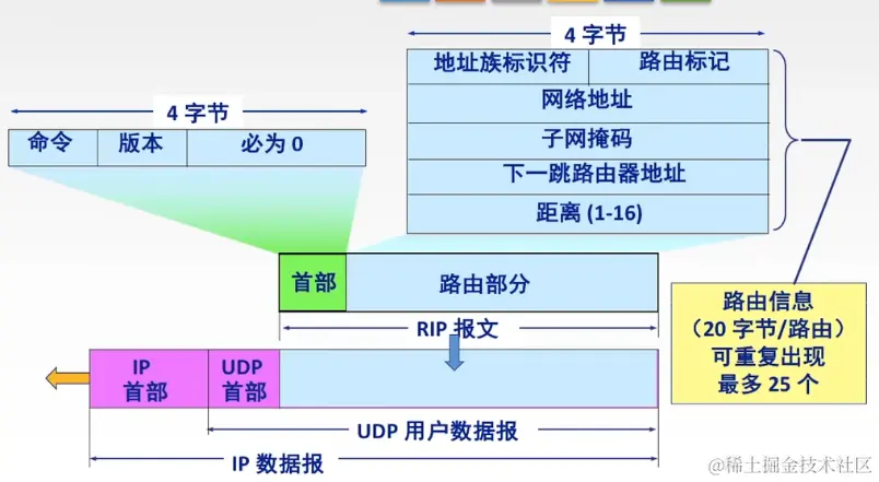 RIP协议报文格式