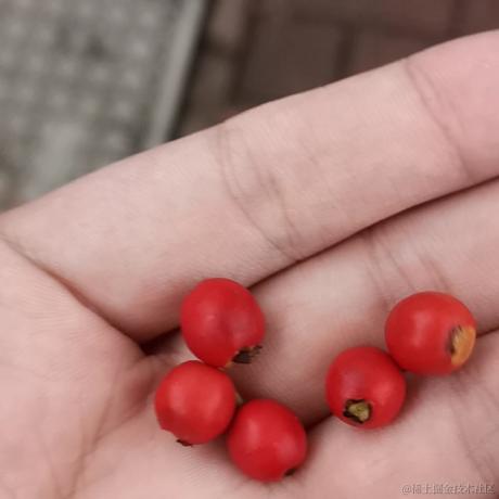 19岁那年于2022-11-19 17:47发布的图片