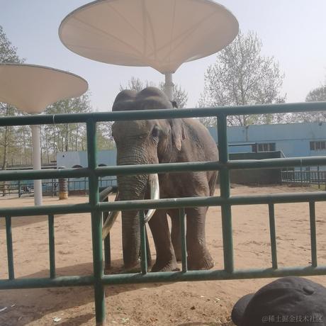 折木鹿z于2023-04-15 16:09发布的图片