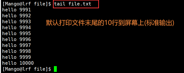 image-20220227103027429
