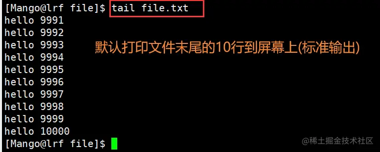 image-20220227103027429