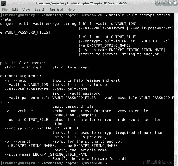 图 3.17 – Ansible Vault 的 encrypt_string 子命令的可用选项