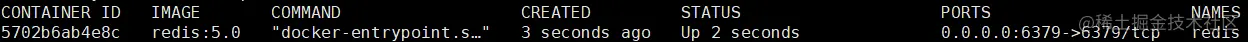 Docker安装redis镜像