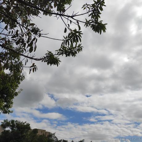 高能信息学学徒于2022-11-29 19:14发布的图片