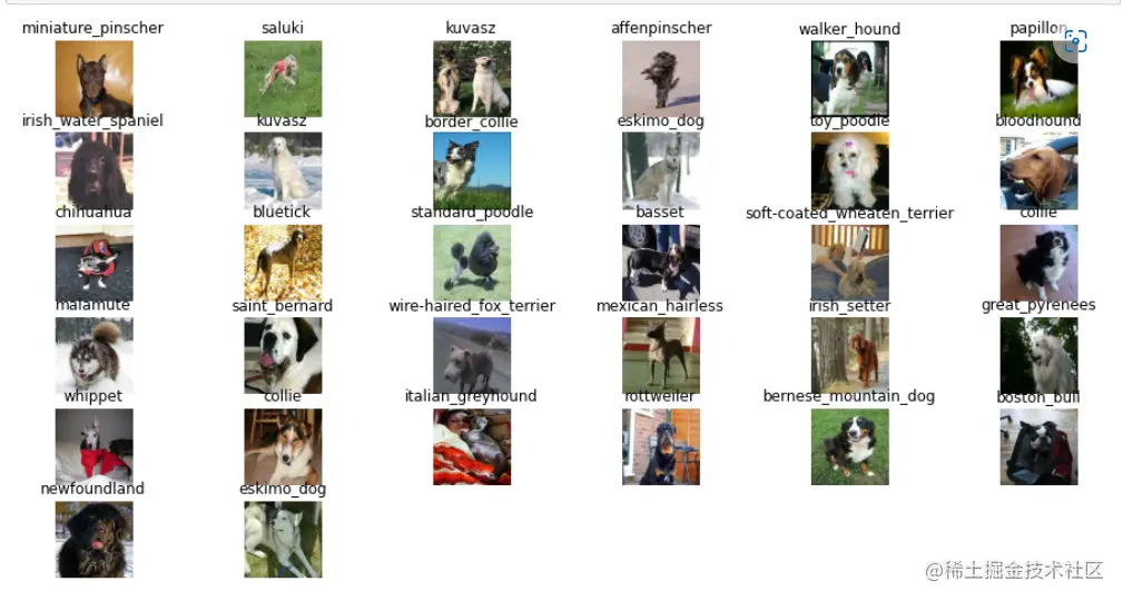 image-20220731105441486