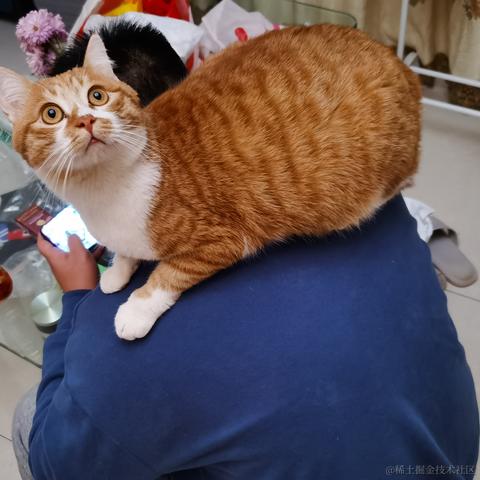 en送你一朵小红花于2023-01-12 09:40发布的图片