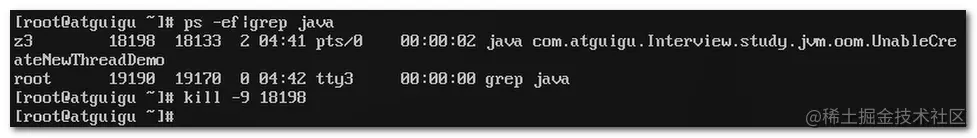 image-20200810130959638