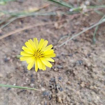 王木拉于2023-06-21 13:27发布的图片