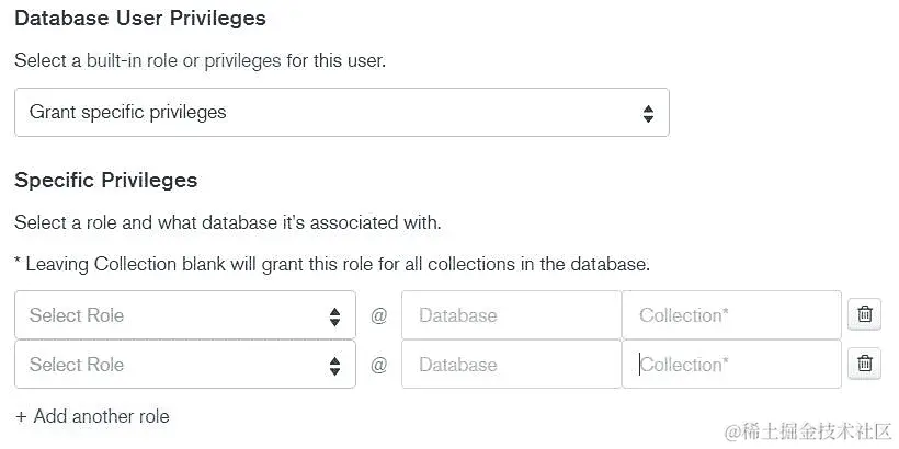 图 3.25：在“添加新用户”窗口中授予特定权限