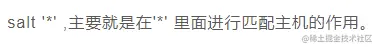 如何在Saltstack组件下收集被控主机的信息？