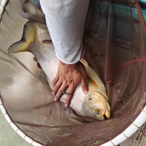 土豆泥丶于2023-10-13 17:40发布的图片