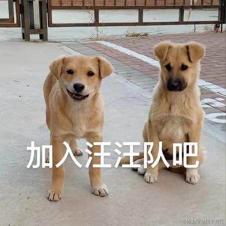 小黑子不配和我做朋友于2022-08-23 10:00发布的图片