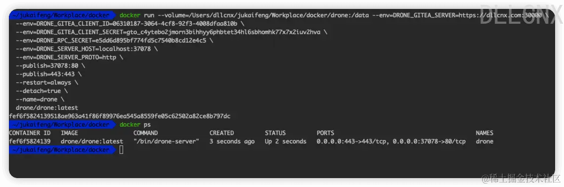 image-20240204194436664