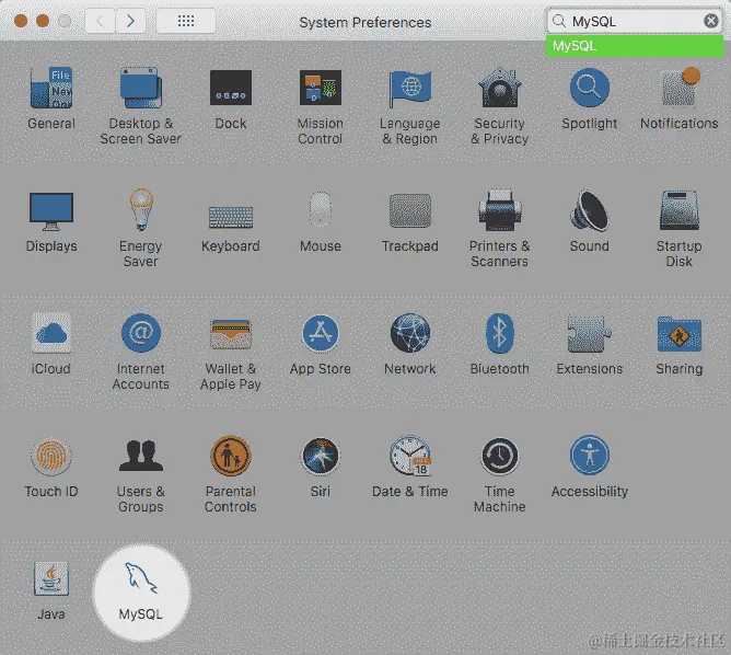 显示“MySQL”输入到 macOS 系统偏好设置搜索框中，并在 MySQL 偏好设置窗格左下部分突出显示的“MySQL”图标。
