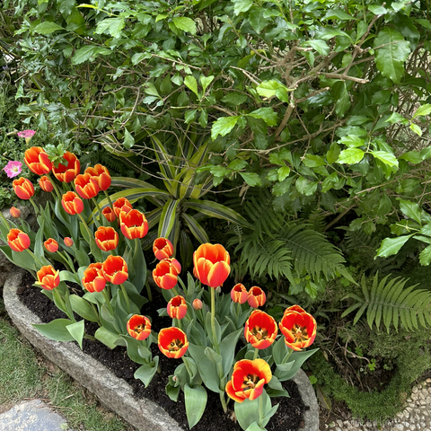 大富大贵AKkk于2023-04-14 22:39发布的图片