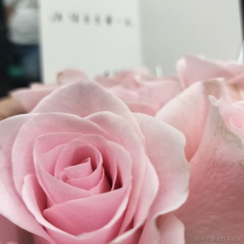 amiable于2023-07-09 23:08发布的图片