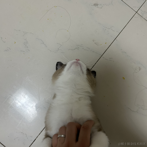慢慢爬的蜗牛于2023-05-17 20:18发布的图片