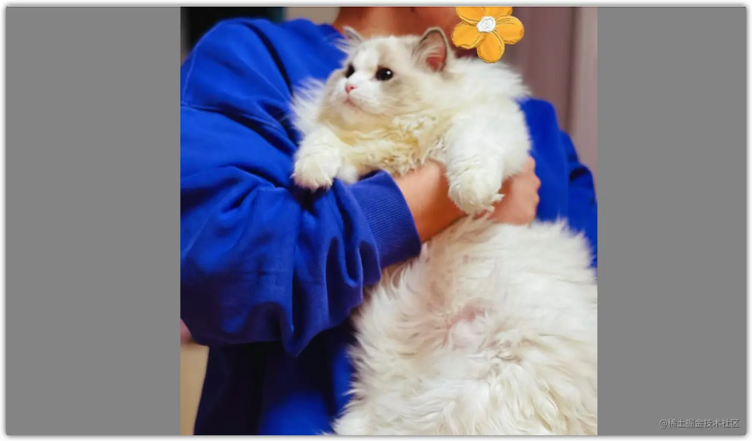 image-20210815172318761