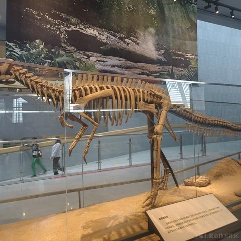 西木枝繁叶茂于2023-04-09 09:06发布的图片