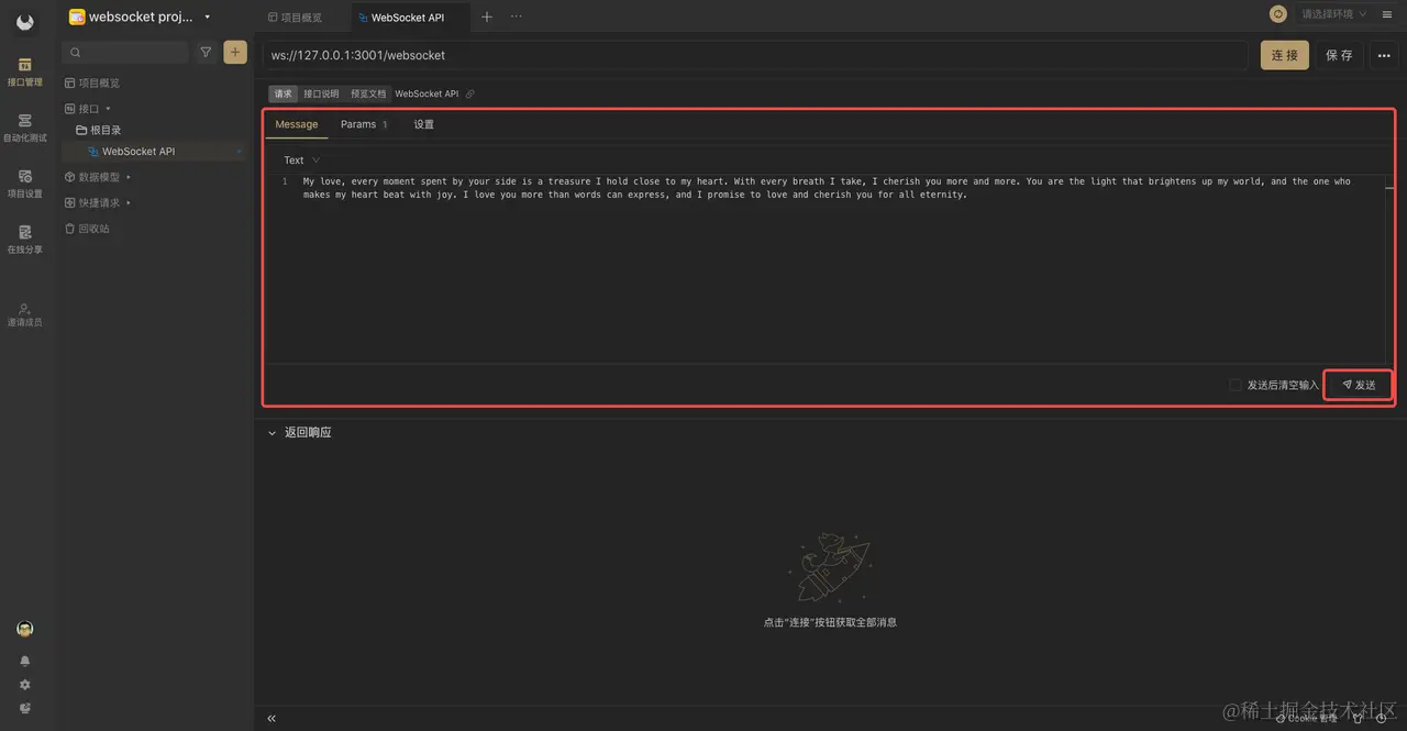 postman 测试 Websocket 接口
