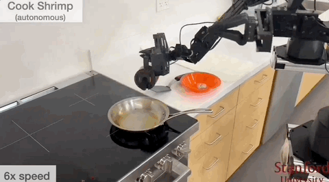 斯坦福为懒人献上大礼！机器人洗衣做饭逗猫看呆网友，成本3万美元自己也能DIY