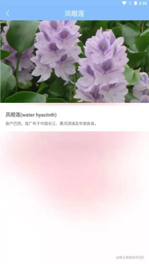 售票APP源码和设计报告