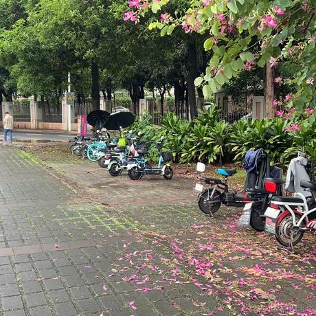 智能车企看板娘于2022-11-27 11:51发布的图片