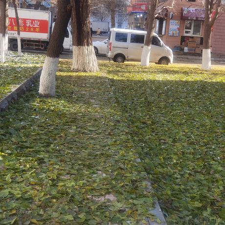 int__于2022-11-16 13:38发布的图片