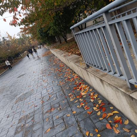 铁血贝极星于2022-11-19 12:30发布的图片