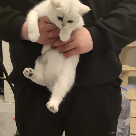 First于2023-05-26 09:04发布的图片