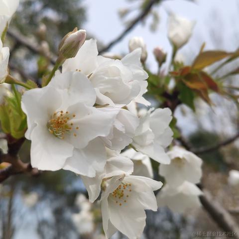 getify于2023-03-18 12:54发布的图片