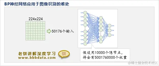 BP神经网络的参数灾难