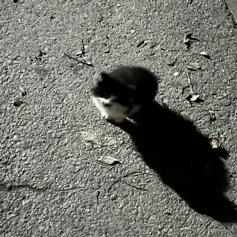 宇宙的尽头是什么于2021-12-08 10:57发布的图片