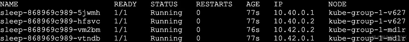 图 18.8：验证 pods 是否在 worker 节点上运行