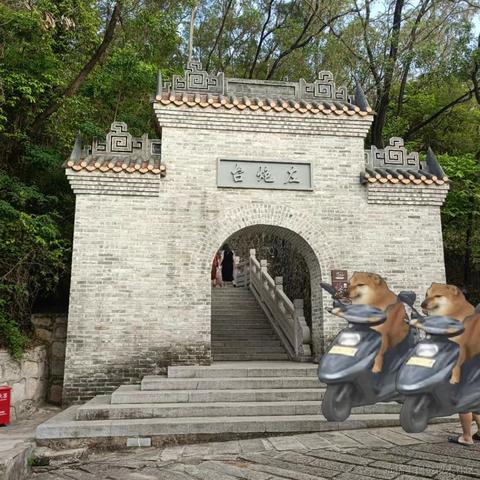 呆头鹅不是企鹅于2023-05-03 00:02发布的图片