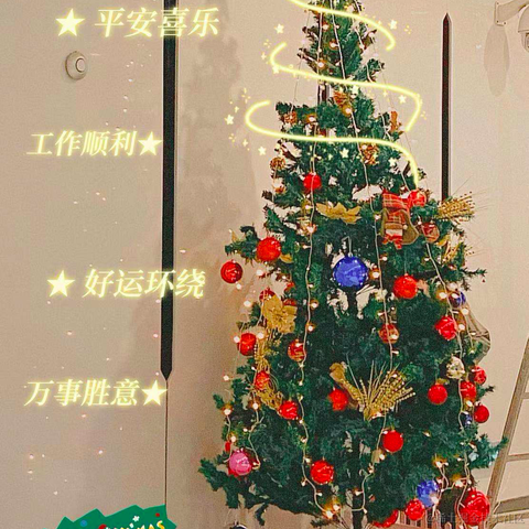 什么阿猫于2020-12-24 11:31发布的图片