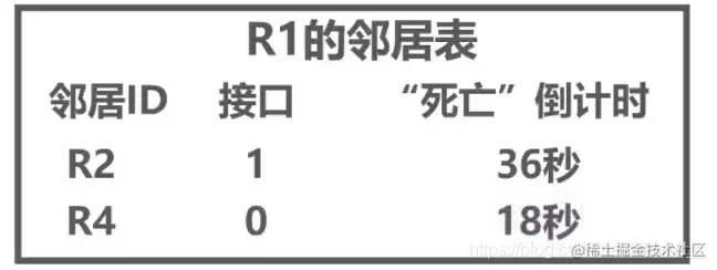 邻居路由表