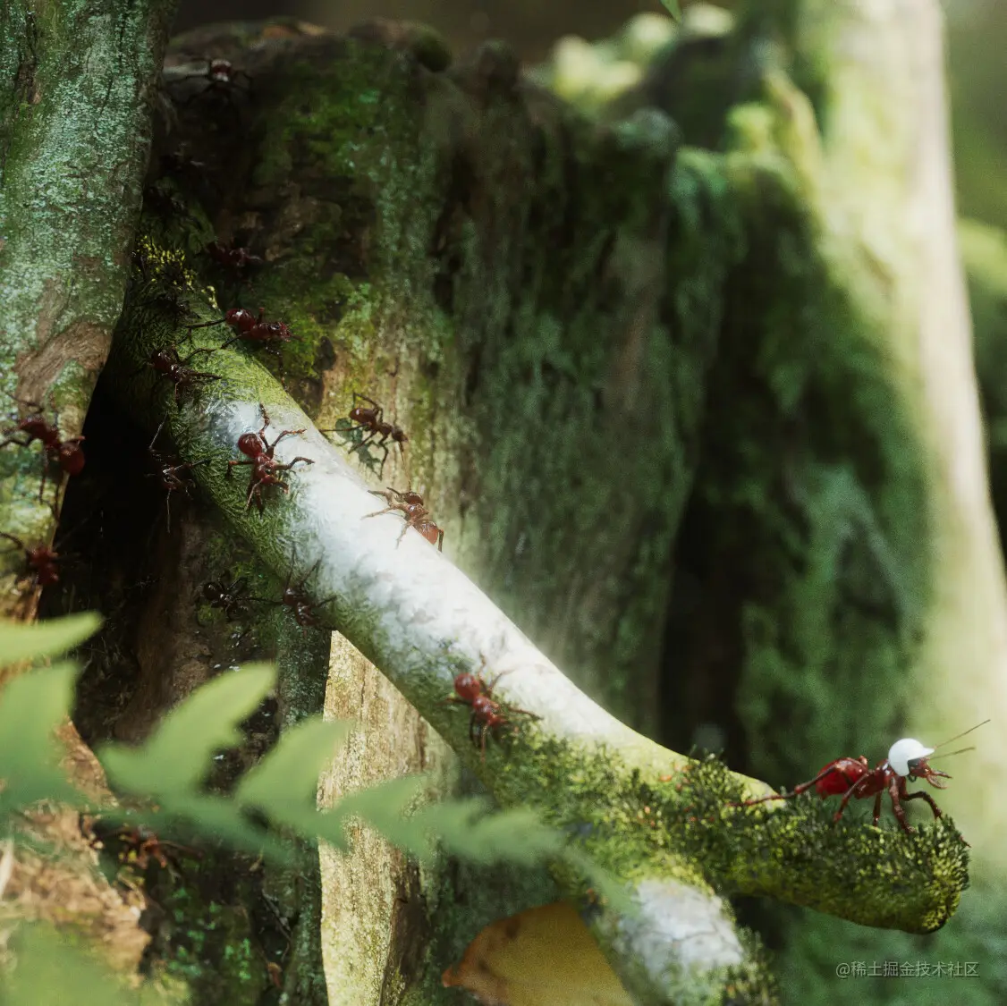 在3ds Max中将叶子苔藓散布在场景中