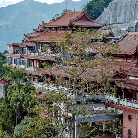 渣然于2023-06-30 19:58发布的图片