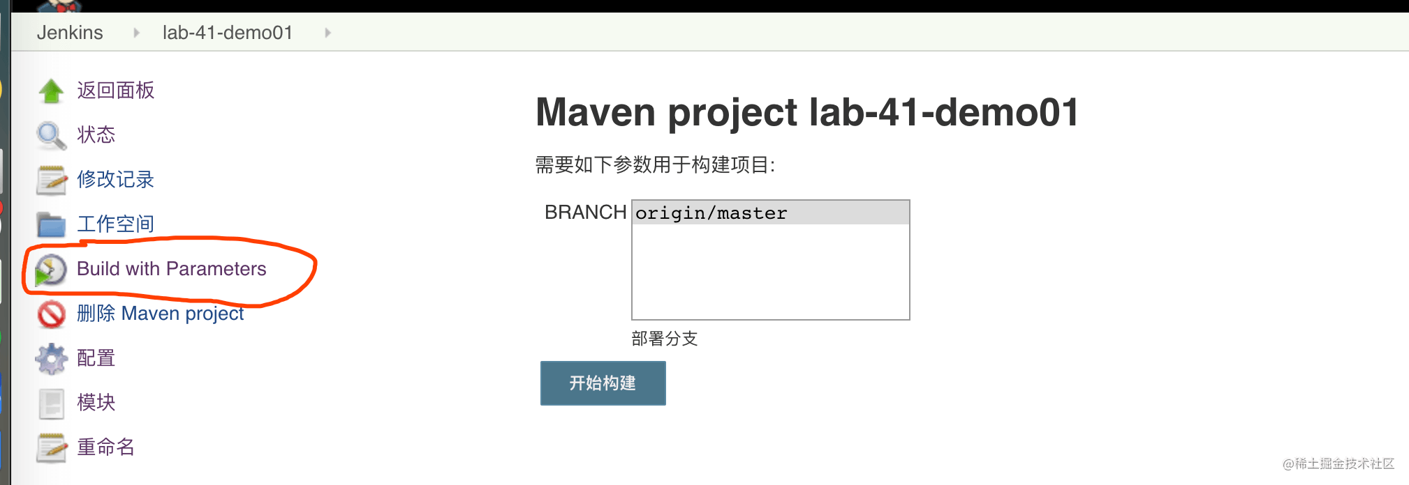 Build with Parameters