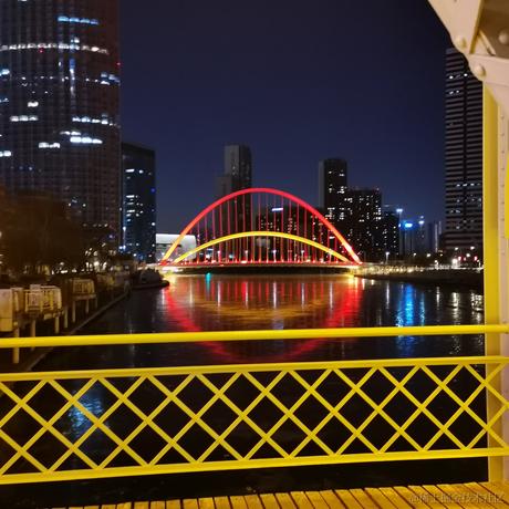 戴安娜小姐的狗于2022-12-25 18:56发布的图片