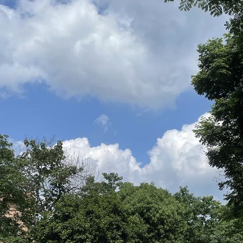 闲坐含香咀翠于2023-06-08 19:32发布的图片