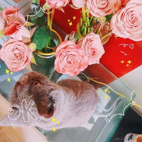 漾雾于2023-05-12 16:43发布的图片