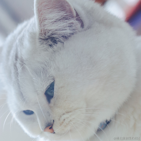 野生好人于2021-01-23 08:56发布的图片