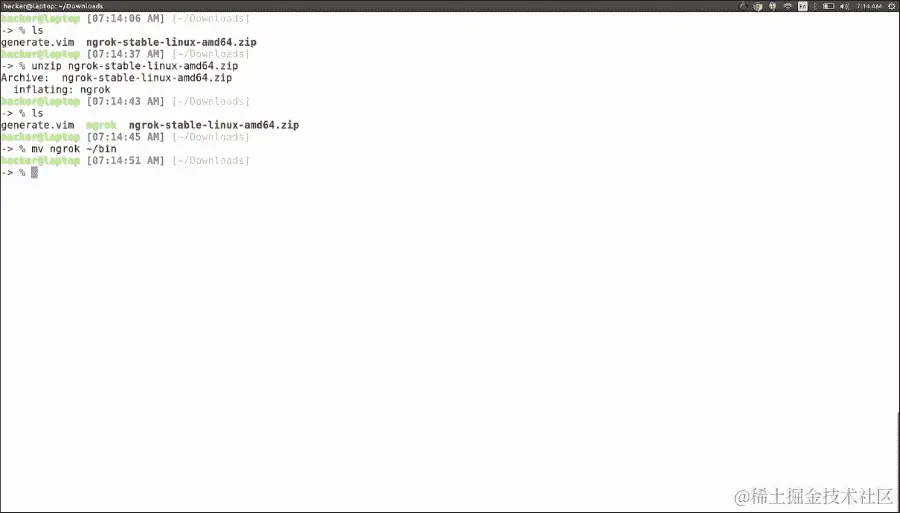 从本地主机到即时 DNS