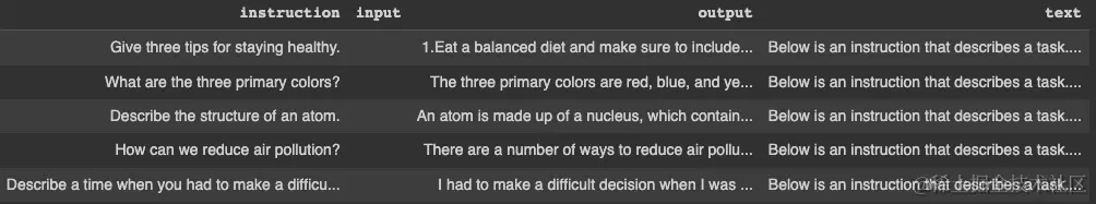 train_dataset的前五行