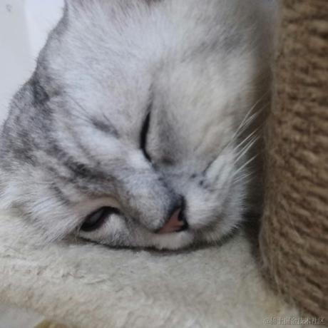 葫芦是顶碗人于2022-11-18 09:05发布的图片