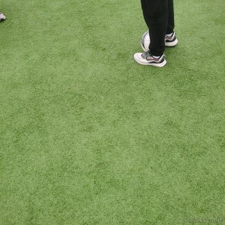 忘书云于2022-11-22 18:58发布的图片